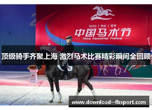 顶级骑手齐聚上海 激烈马术比赛精彩瞬间全回顾