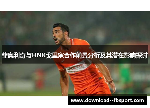 菲奥利奇与HNK戈里察合作前景分析及其潜在影响探讨