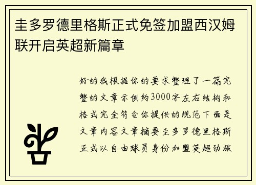 圭多罗德里格斯正式免签加盟西汉姆联开启英超新篇章